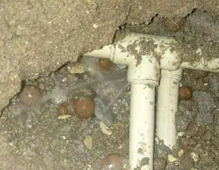 汤原卫生间测漏