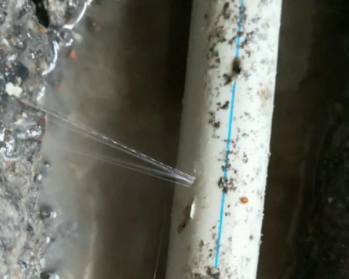 汤原卫生间测漏水多少钱
