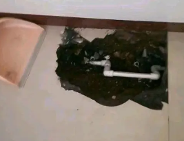 汤原卫生间测漏水多少钱